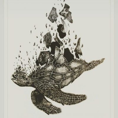 Vanishing Turtle