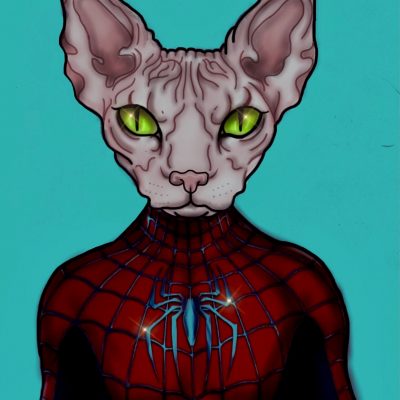 Spidercat